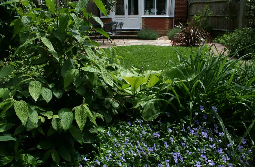 Small Town Garden back garden redesign