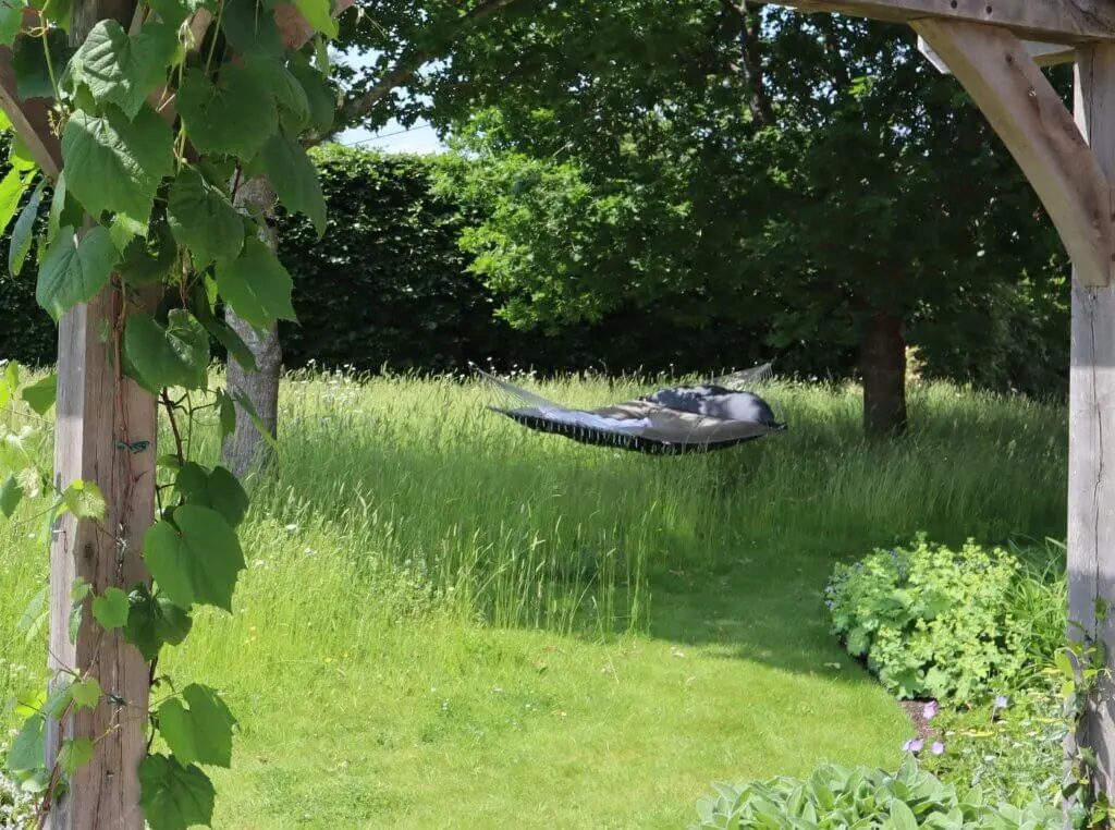 Hammock in New Forest Garden