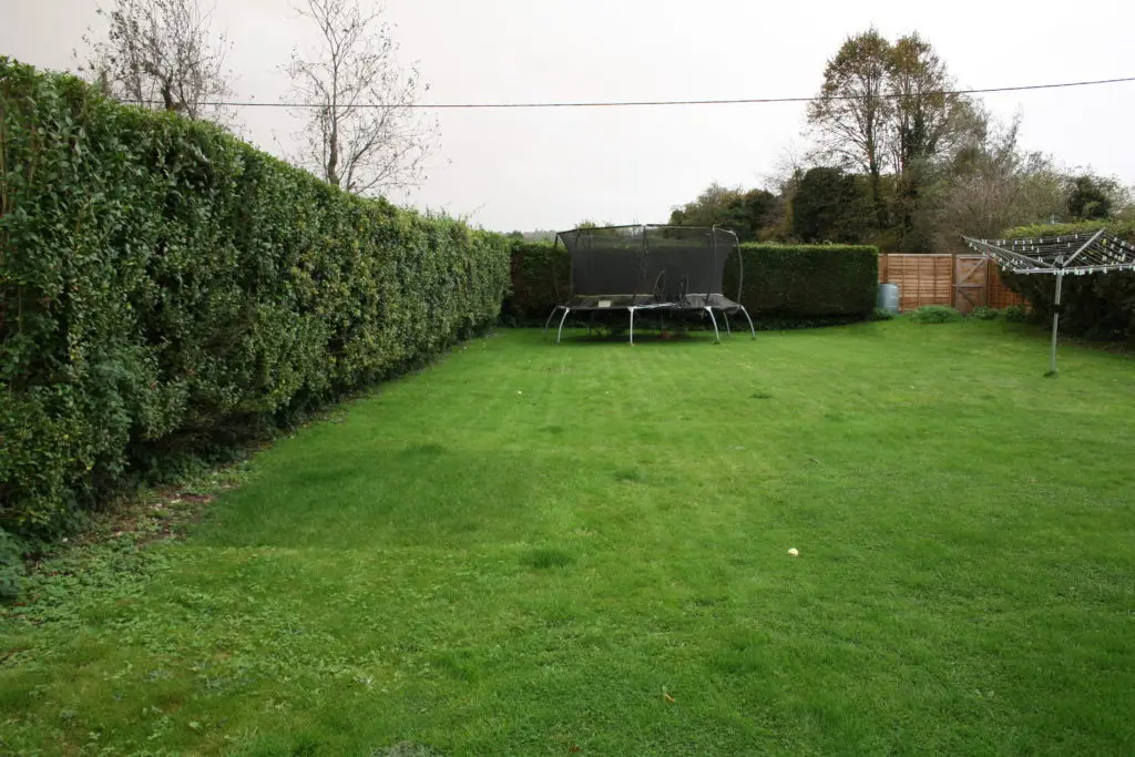 Family Garden Redesign - before