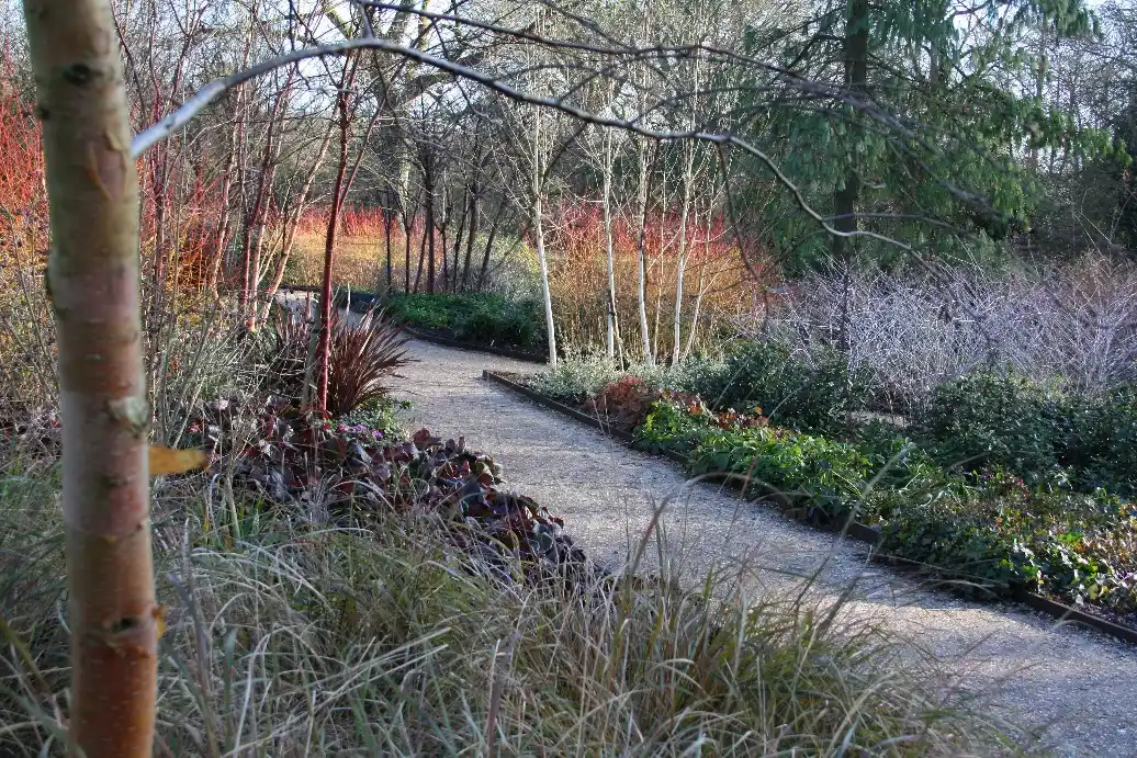 The winter garden at Mottisfont Abbey, Hampshire