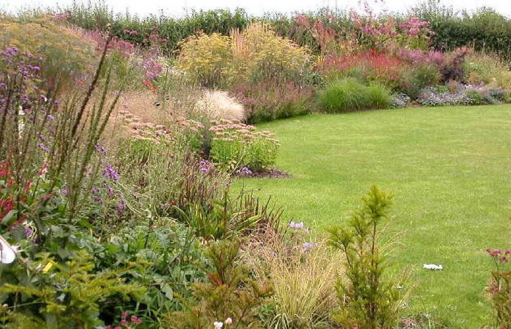 Contemporary Country Garden - planting
